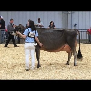 Meet your Posher, Erin